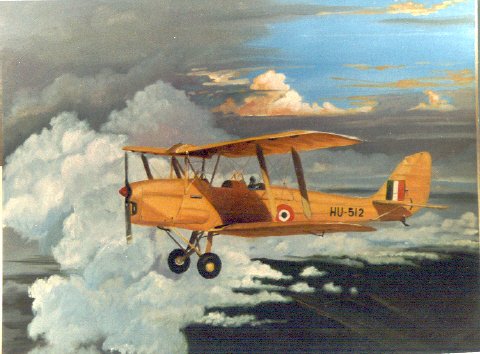 De Havilland Tiger Moth