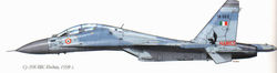 Su-30 in IAF colours