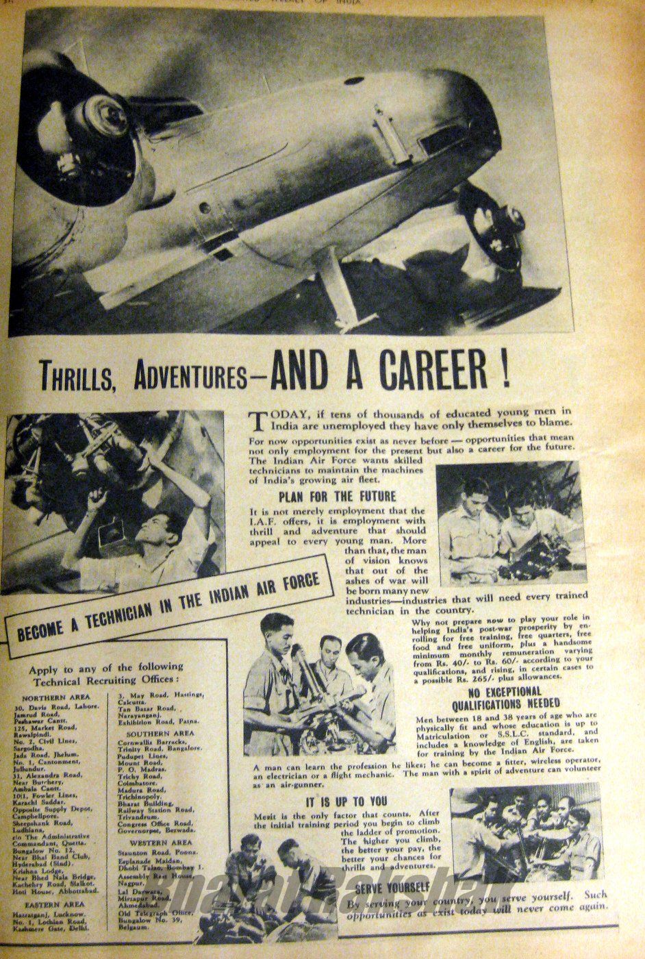 Thrills, Adventure and a Career