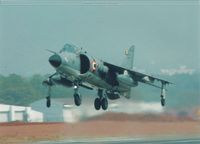 Harrier13.jpg