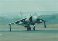 Harrier14.jpg